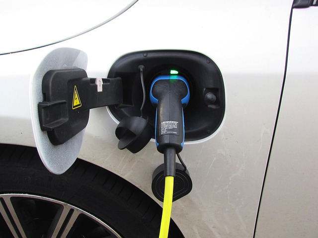 Borne de charge électrique pour véhicule Gonat
