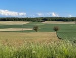 Couziers 2 — photo 3
