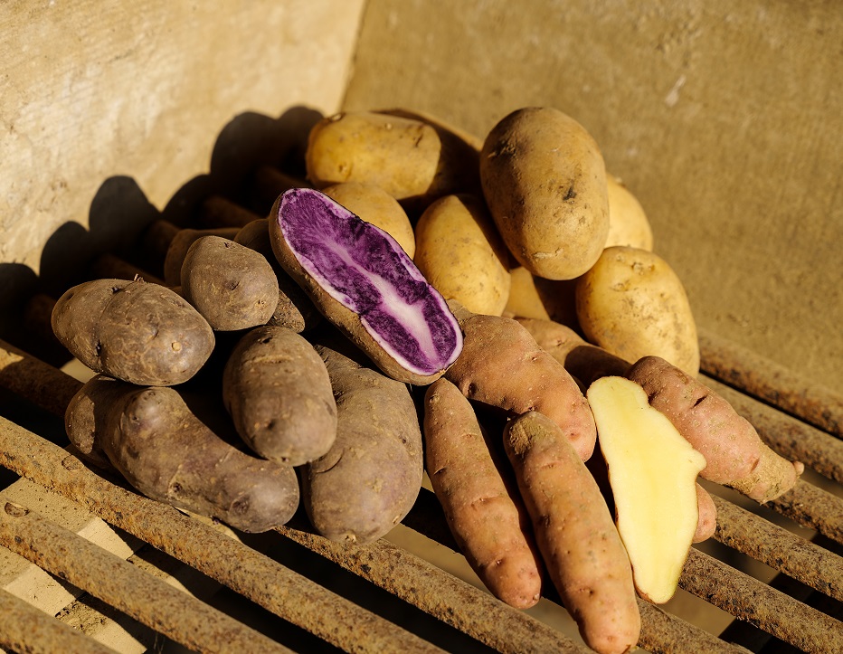 Earl La Croix Saint-Edme