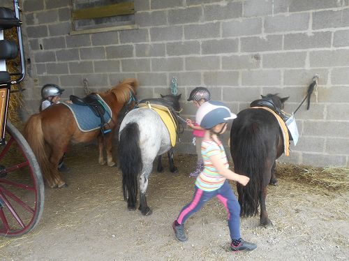 Poney Club du champ brulé- Tous à cheval — photo 3