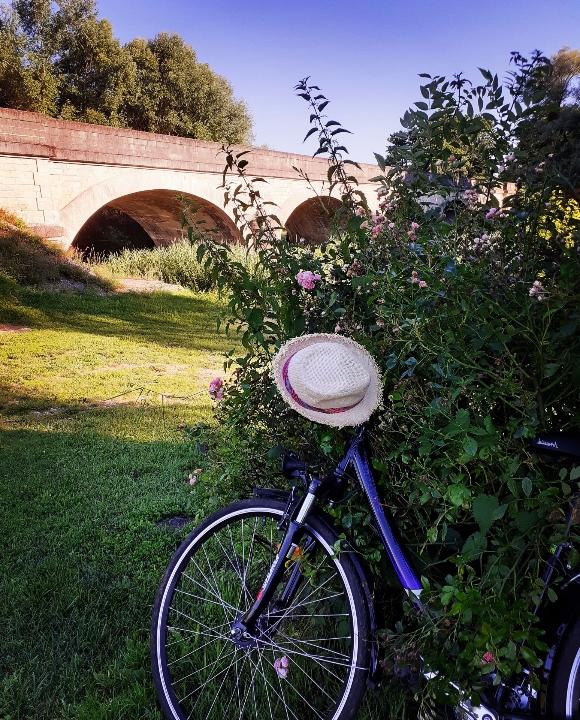 Espace Mis et Thiennot, Le Tranger