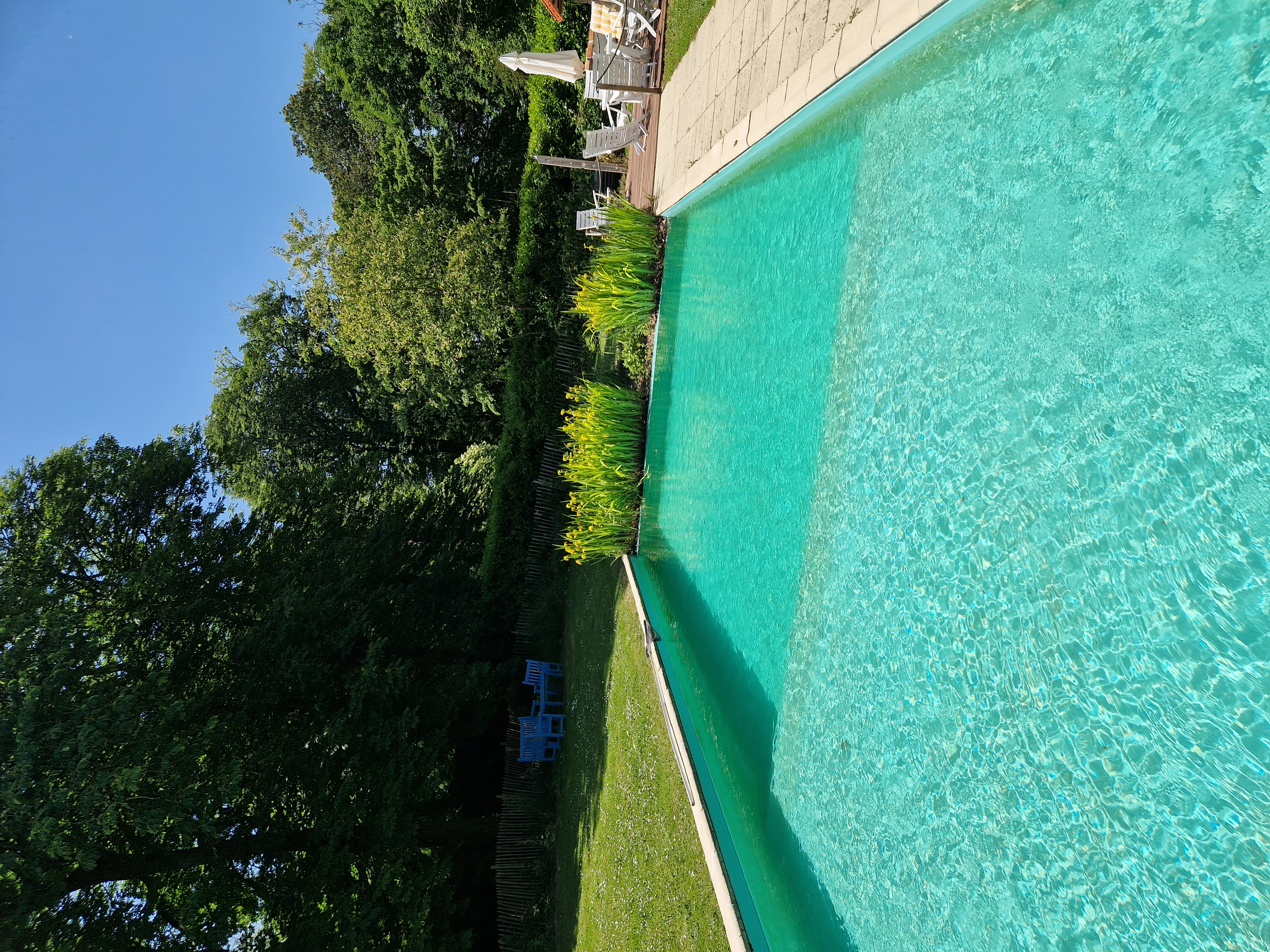 Chambres d'hôtes Château d'Igny, La Perche - photo 3