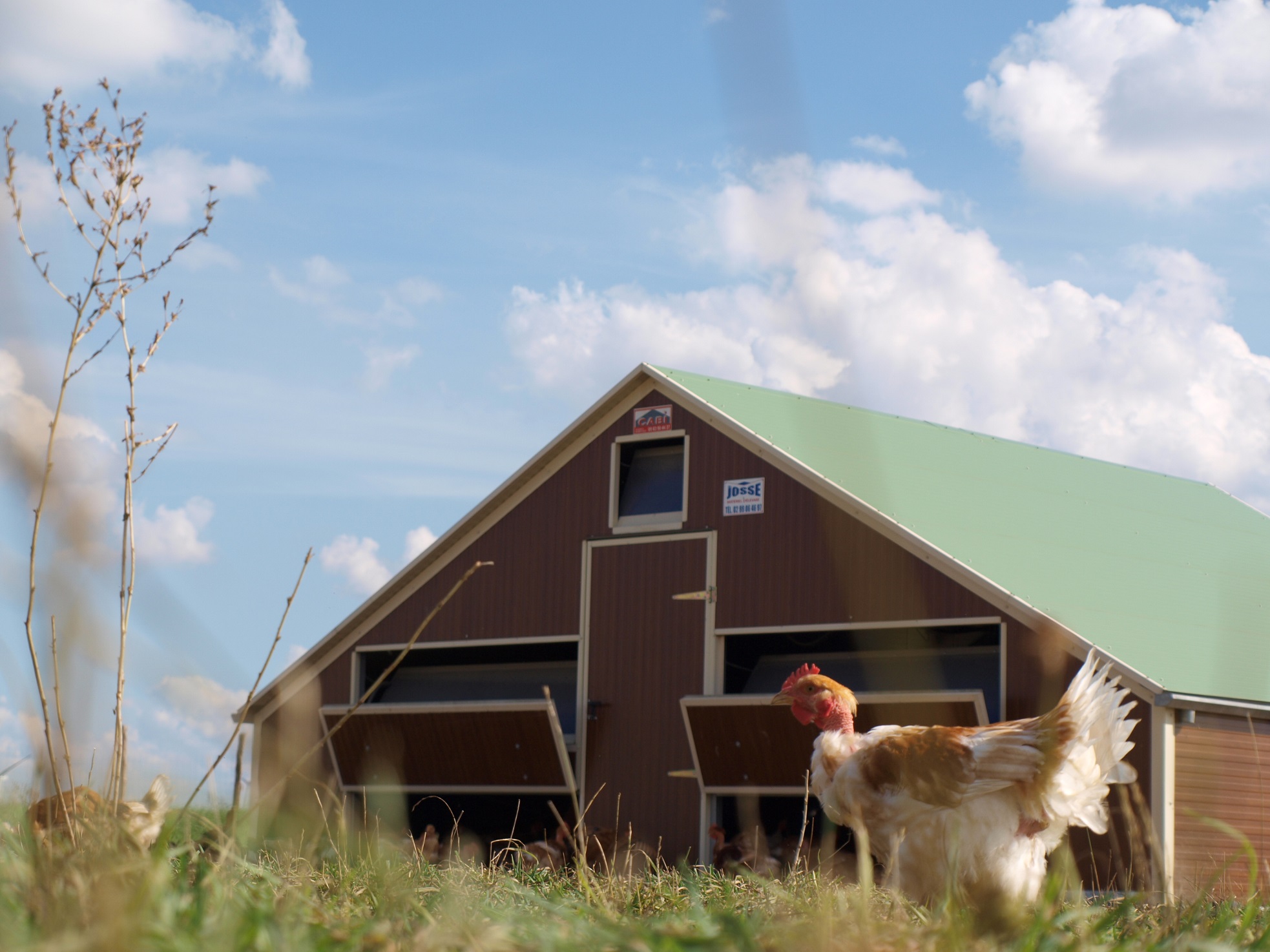 La Ferme du Champ d'Eau