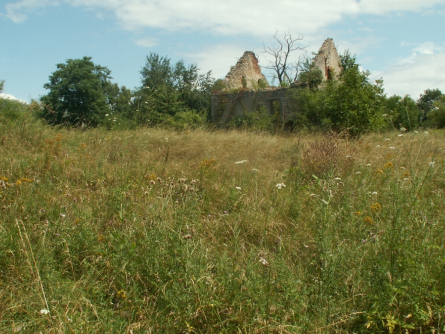 L’Espace Naturel Sensible : L'île Marie, Vierzon