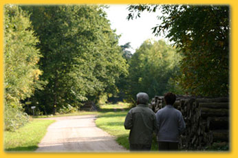 Gîte - 4 pers., Yvoy-le-Marron - photo 6