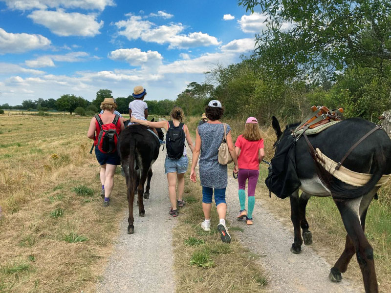 Promenade avec les ânes
