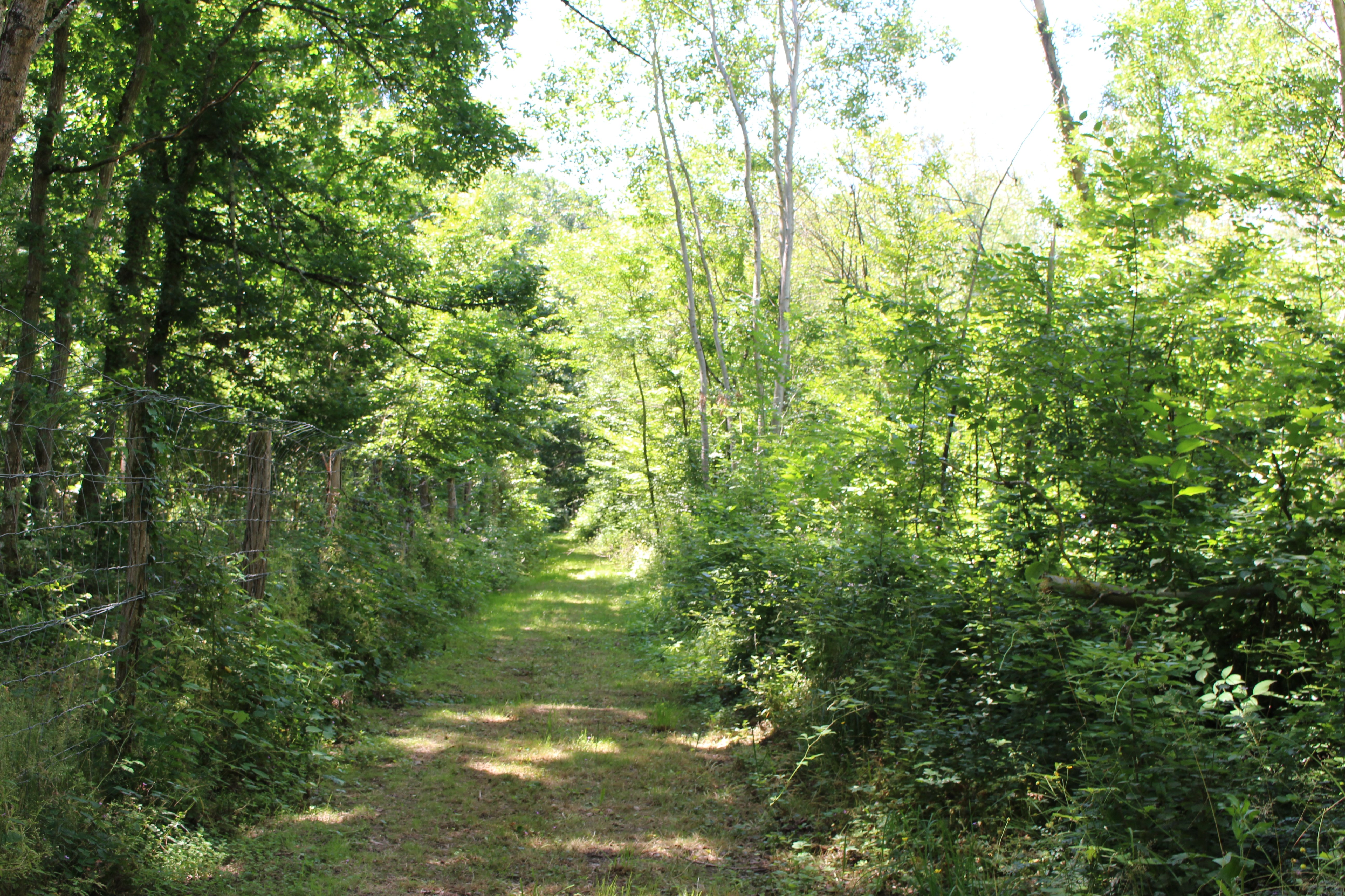 Gite du Bois de Charbo, Saint-Jean-de-Braye - photo 7