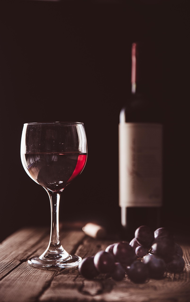 Conférence "Le vin un art de vivre"