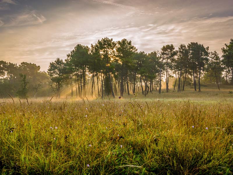Les puys du Chinonais