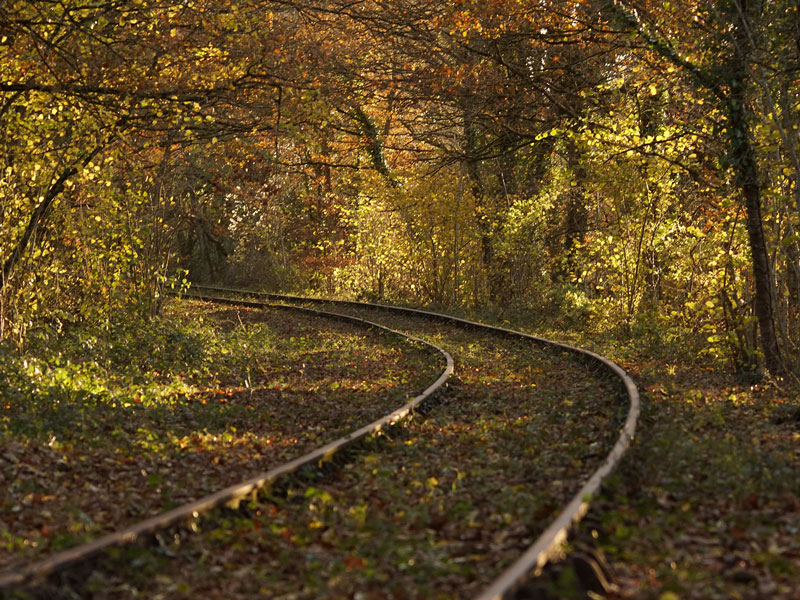 CycloRail 37, Château-la-Vallière - photo 2