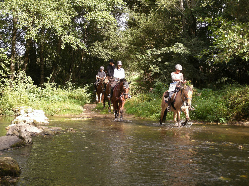 Centre équestre et Poney Club de l'Epineau