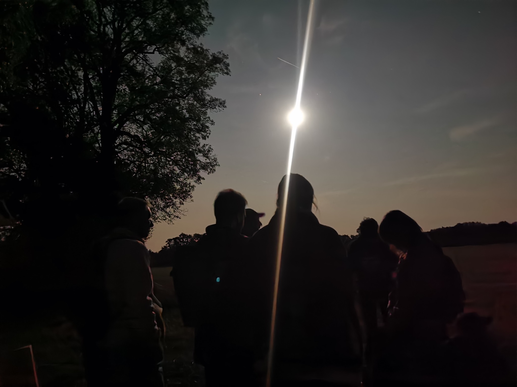 Les animaux à la tombée de la nuit