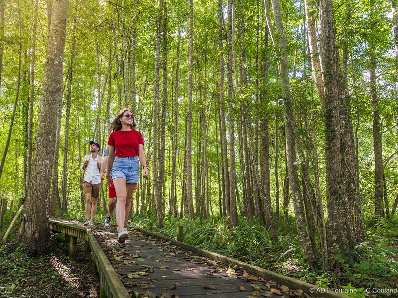 Le chemin de la Petite Choisille - Randonnée en Nord-Touraine