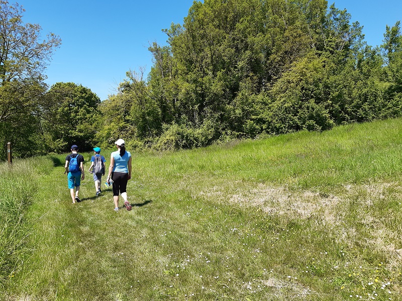 Le chemin des Moulins, Tauxigny-Saint-Bauld