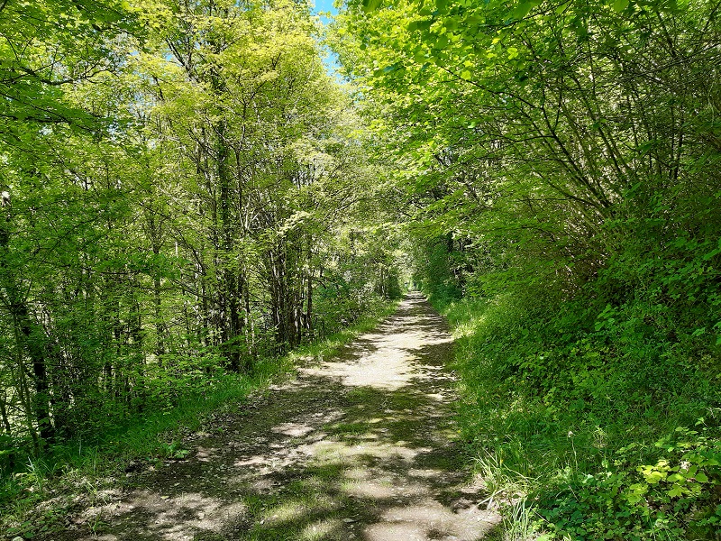 Le chemin des Moulins, Tauxigny-Saint-Bauld - photo 4