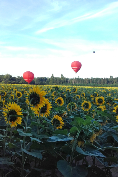 Randonnée sur les bords du Cher, Chenonceaux - photo 5