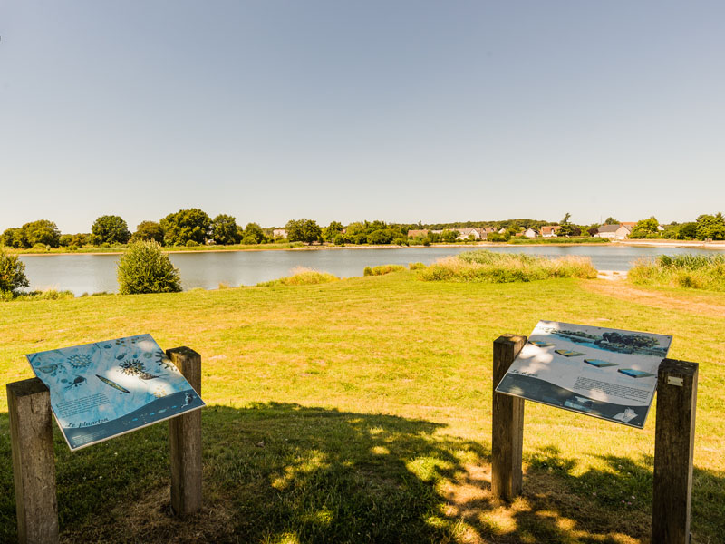Randonnée de l'étang du Louroux, Le Louroux - photo 5