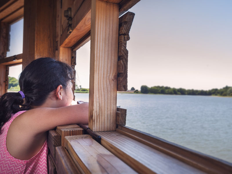 Randonnée de l'étang du Louroux, Le Louroux - photo 2