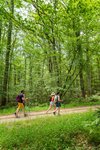 Saint-Benoît-la-Forêt - N°2