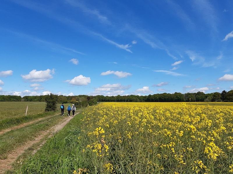 Le chemin de la Petite Choisille - Randonnée en Nord-Touraine, Charentilly - photo 4