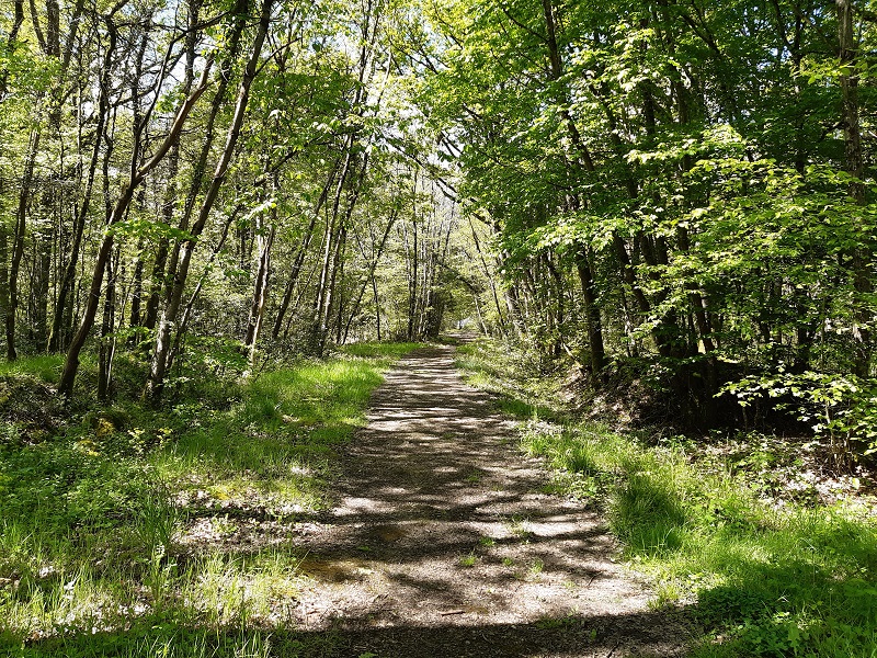 Le chemin de la Petite Choisille - Randonnée en Nord-Touraine, Charentilly