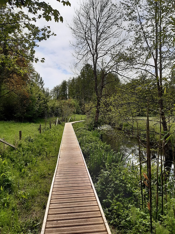 Le chemin de la Petite Choisille - Randonnée en Nord-Touraine, Charentilly - photo 3