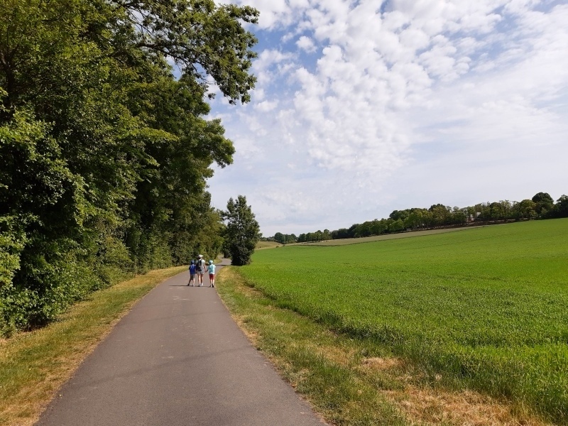 Randonnée de la rivière aux coteaux du Val de Choisille, Saint-Cyr-sur-Loire - photo 5
