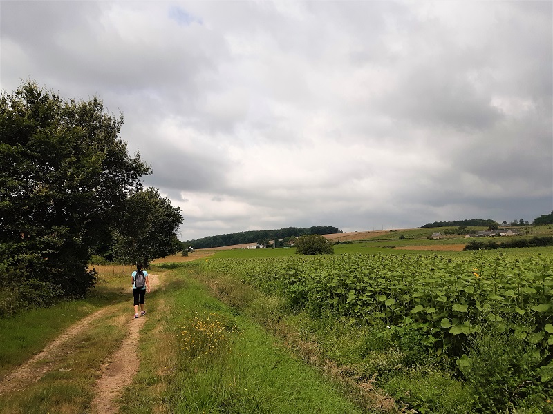 Le lys dans la vallée, Saché - photo 8