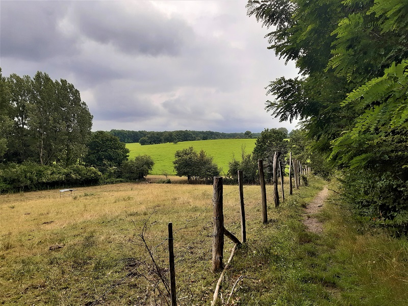 Le lys dans la vallée, Saché - photo 5