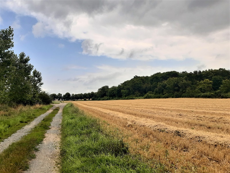 Le lys dans la vallée, Saché - photo 3
