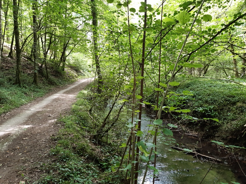 Entre vignes et Ramberge, Saint-Ouen-les-Vignes - photo 8