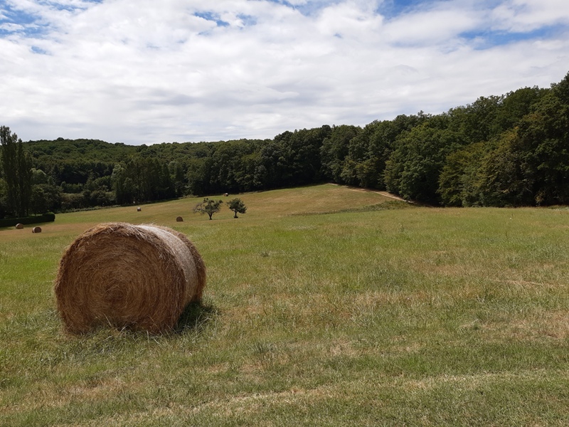 Entre vignes et Ramberge, Saint-Ouen-les-Vignes - photo 7