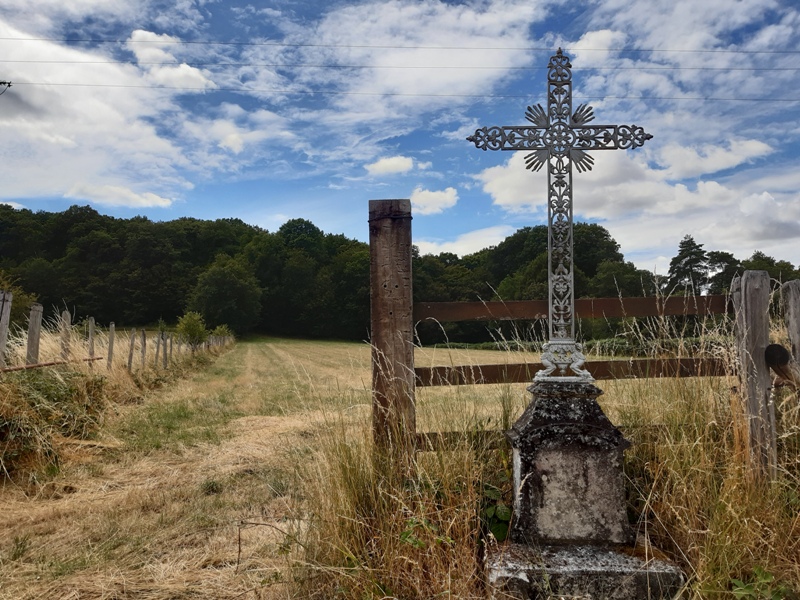 Entre vignes et Ramberge, Saint-Ouen-les-Vignes