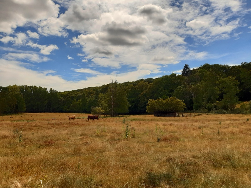 Entre vignes et Ramberge, Saint-Ouen-les-Vignes - photo 4