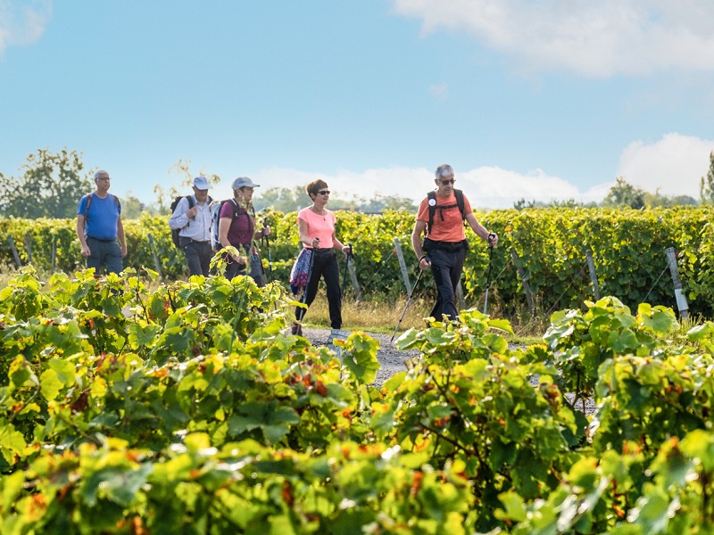 Vignes et patrimoine, Vernou-sur-Brenne - photo 2