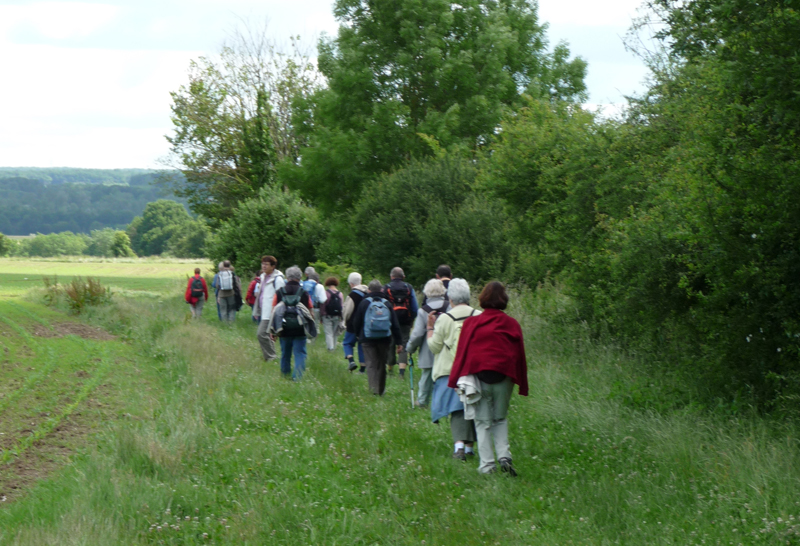 Balade gourmande autour des Coteaux du Giennois