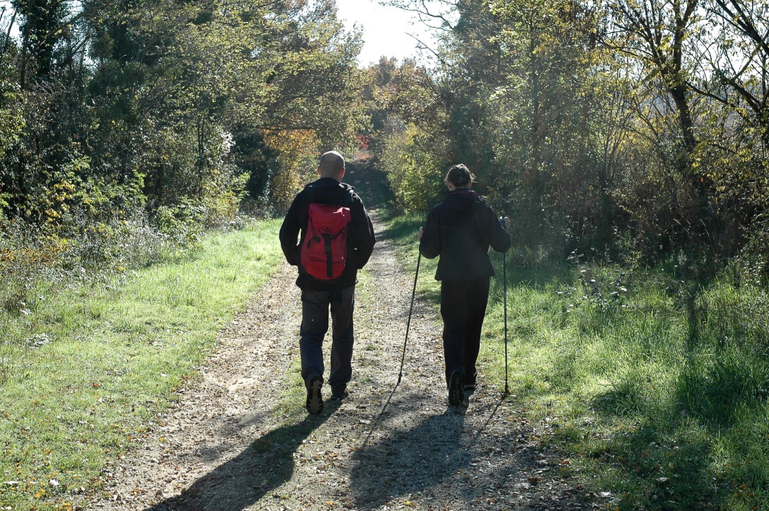 Le circuit des vignes et du plan d'eau