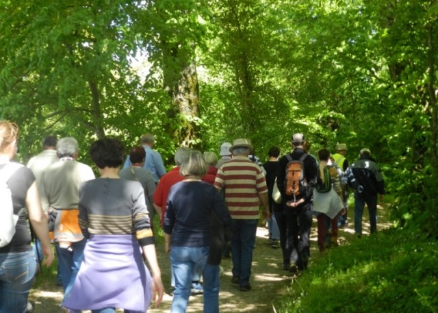 Randonnée historique W3-Quartier Général Allemand à Saint Rimay