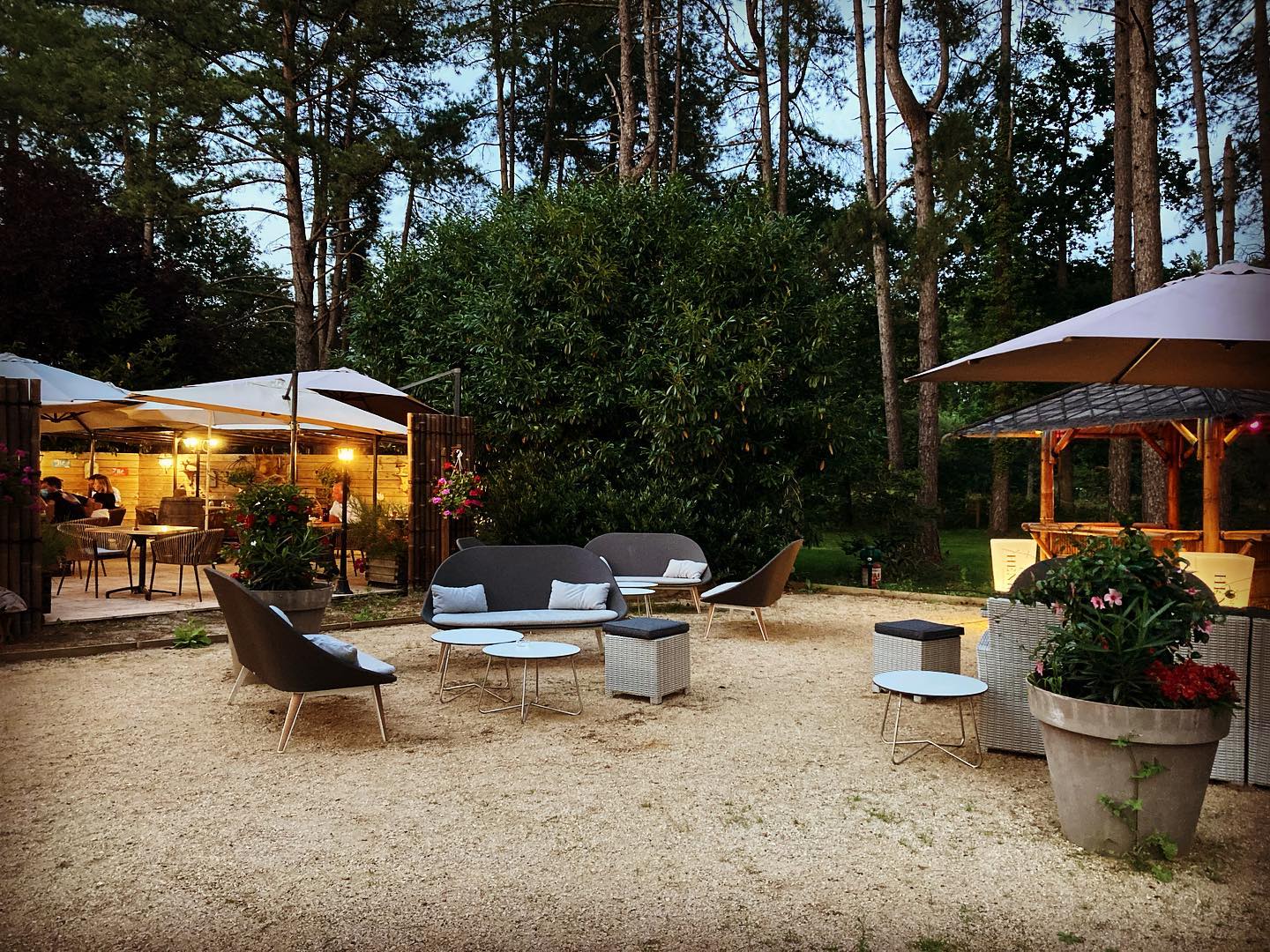 Les Brémailles, La Ferté-Saint-Aubin - photo 8