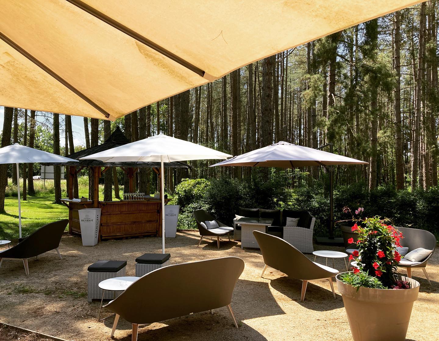 Les Brémailles, La Ferté-Saint-Aubin - photo 7