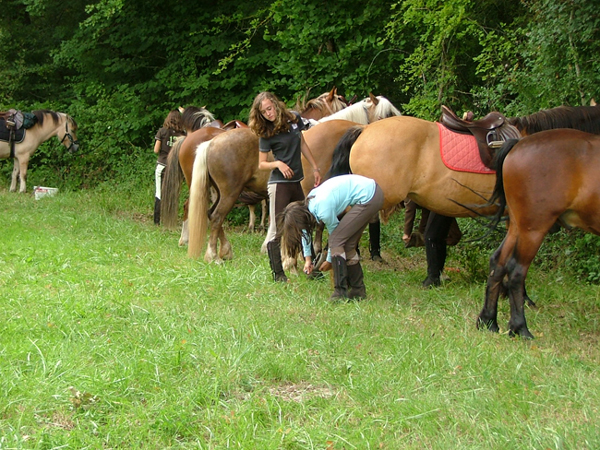 Centre Equestre Le Rio Javar — photo 2
