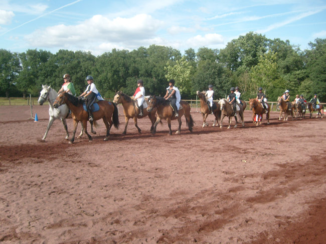 Centre Equestre Le Rio Javar — photo 3