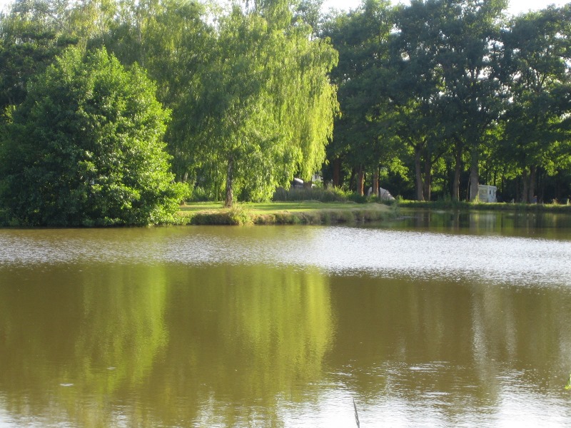 Camping municipal les Millots, Rosnay