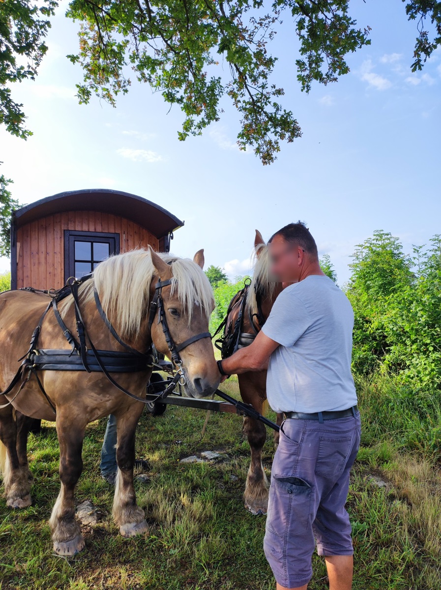 Séjour itinérant en roulotte avec 2 chevaux, Saint-Priest-la-Marche