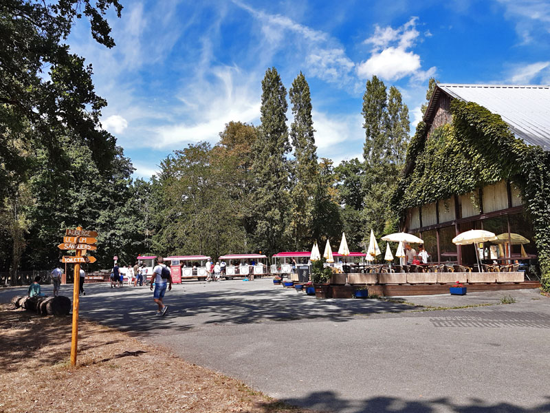 Réserve de Beaumarchais - Les grands gibiers d'élevage en Safari Train, Autrèche - photo 2