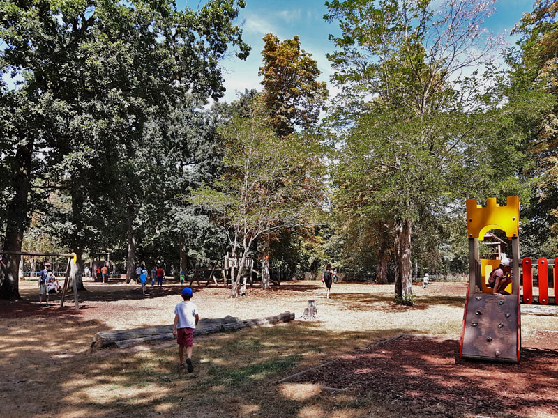 Réserve de Beaumarchais - Les grands gibiers d'élevage en Safari Train, Autrèche - photo 9