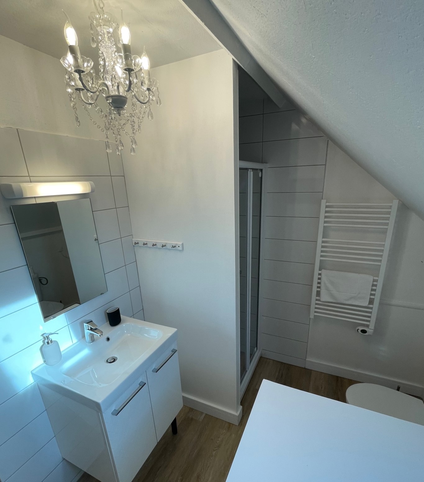 Maison familiale Blois avec piscine et SPA, Blois - photo 15
