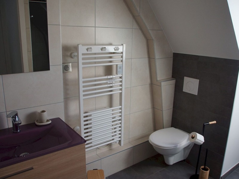 Logis Saponine, Savonnières - photo 6