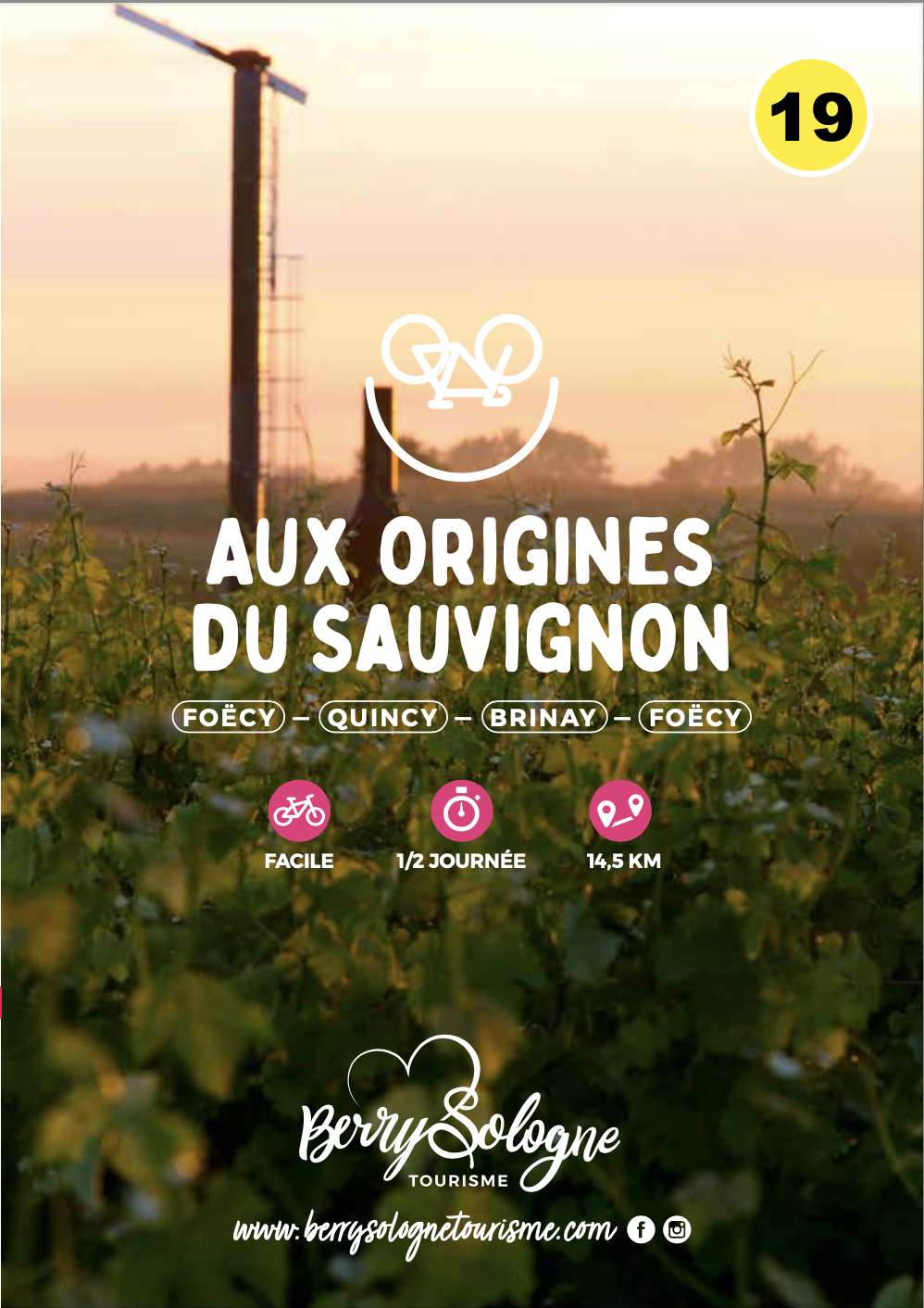 Boucle n°19 - aux origines du Sauvignon