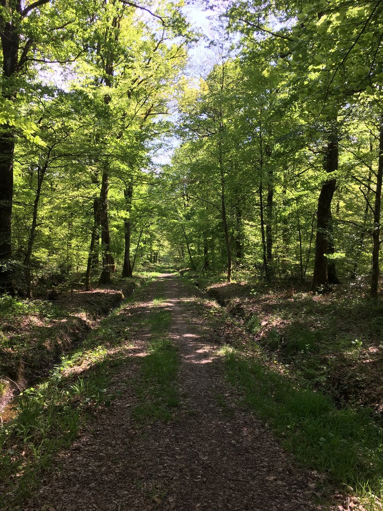 L’Espace Naturel Sensible : Sentier de la Salamandre, Vierzon - photo 3